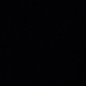 Meet your Posher, Wesley